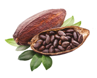 Noir 70% Eclats de Cacao 1